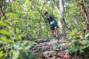 BIB: 
                            <button type="button" onclick="openModal(27702832)" class="btn btn-primary btn-sm float-right btn-popup" data-toggle="modal" data-target=".modal-high-quality">
                        <i class="fas fa-shopping-cart"></i> Add to Cart
                    </button>
                                            <button type="button" onclick="isThisMe(27702832, true)" class="btn btn-success btn-sm float-right btn-popup btn-isme hidden" data-toggle="tooltip" data-placement="bottom" title="นี่คือรูปของคุณใช่ไหม คลิกที่นี่เพื่อเอาเข้าอัลบั้ม">
                        <i class="fas fa-plus"></i> Add to album
                    </button>
                    <button type="button" onclick="isThisMe(27702832, false)" class="btn btn-warning btn-sm float-right btn-popup btn-isnotme hidden">
                        <i class="fas fa-ban"></i> Remove from album
                    </button>